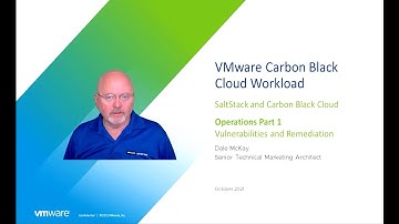 SaltStack and Carbon Black Cloud - Vulnerability and Remediation