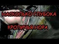 Автоэлектрик за донат. Приора непостоянный ток утечки, разряд АКБ.