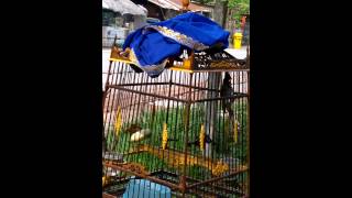 WP 20140618 10 04 51 Pro