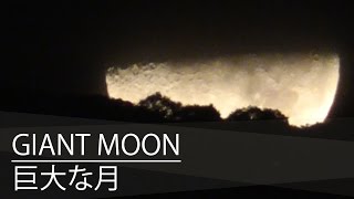 let's watch the super moon go down to lofi GUADALAJARA グアダラハラの大きな月
