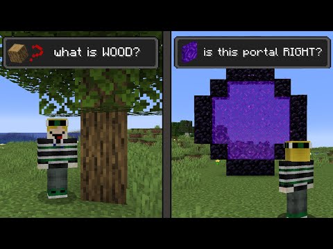 Minecraft if players FORGOT how to PLAY