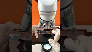 Cm.0Z Pepsi In Microscope Viral
