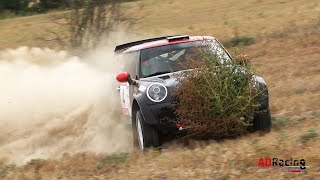 Crash & Many Mistakes | Rally Cervera | Memorial Abel Puig 2023 | ADRacing