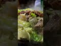 Nice Sound of Grilled Meat and Cabbage!