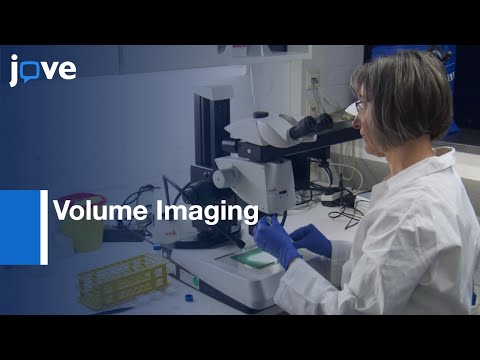 Freezing, Microwave-Assisted Contrast Enhancement & Minimal Resin Embedding l Protocol Preview