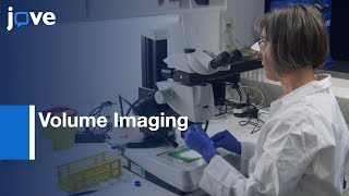 Freezing, Microwave-Assisted Contrast Enhancement & Minimal Resin Embedding l Protocol Preview