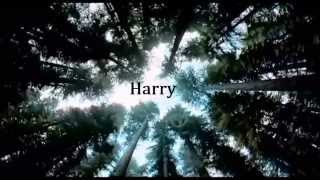 Harry & Louis - Nayino