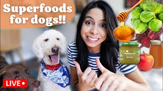 5 SUPERFOODS for Dogs!  Healthy kibble toppers!