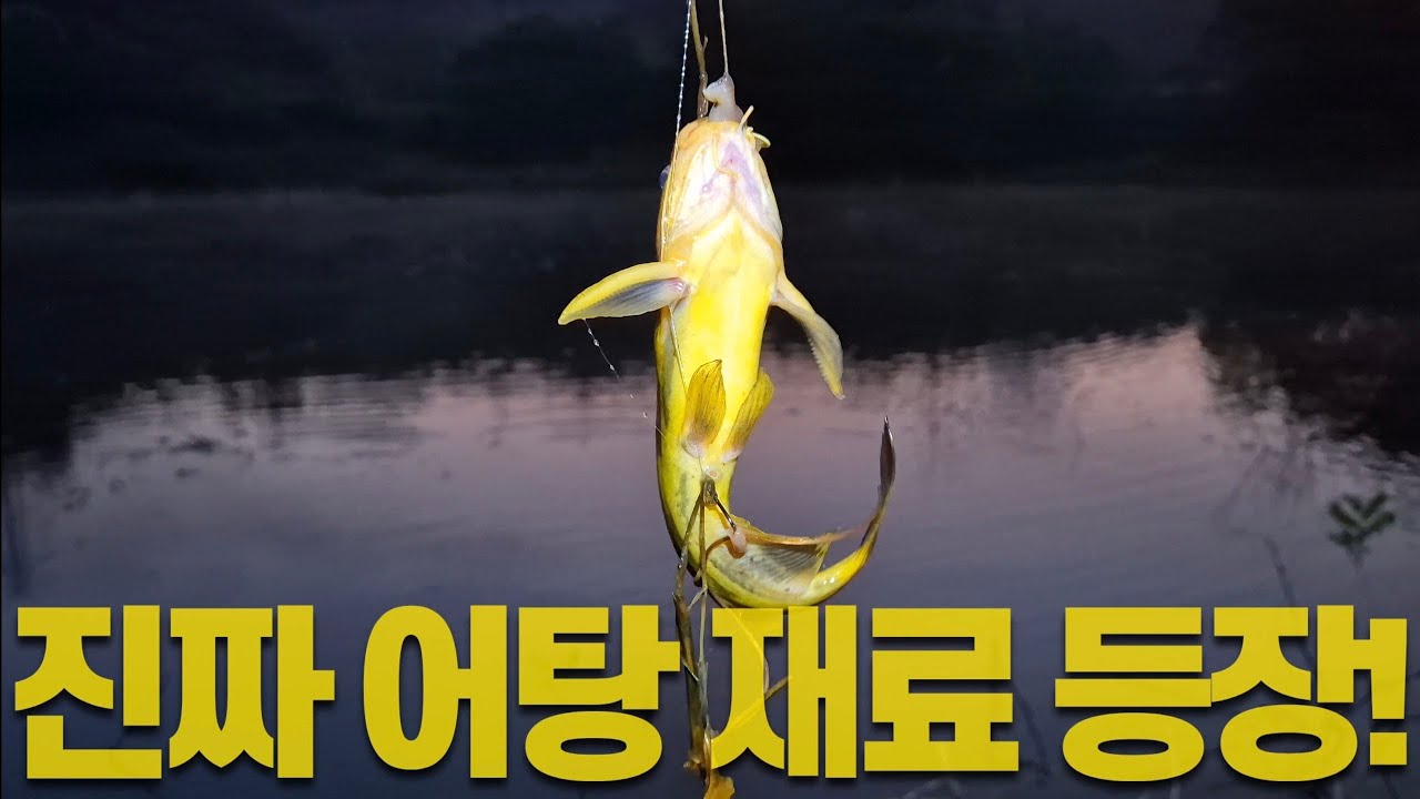 직접 잡고, 직접 끓였다! 이게 진짜 시골 어탕