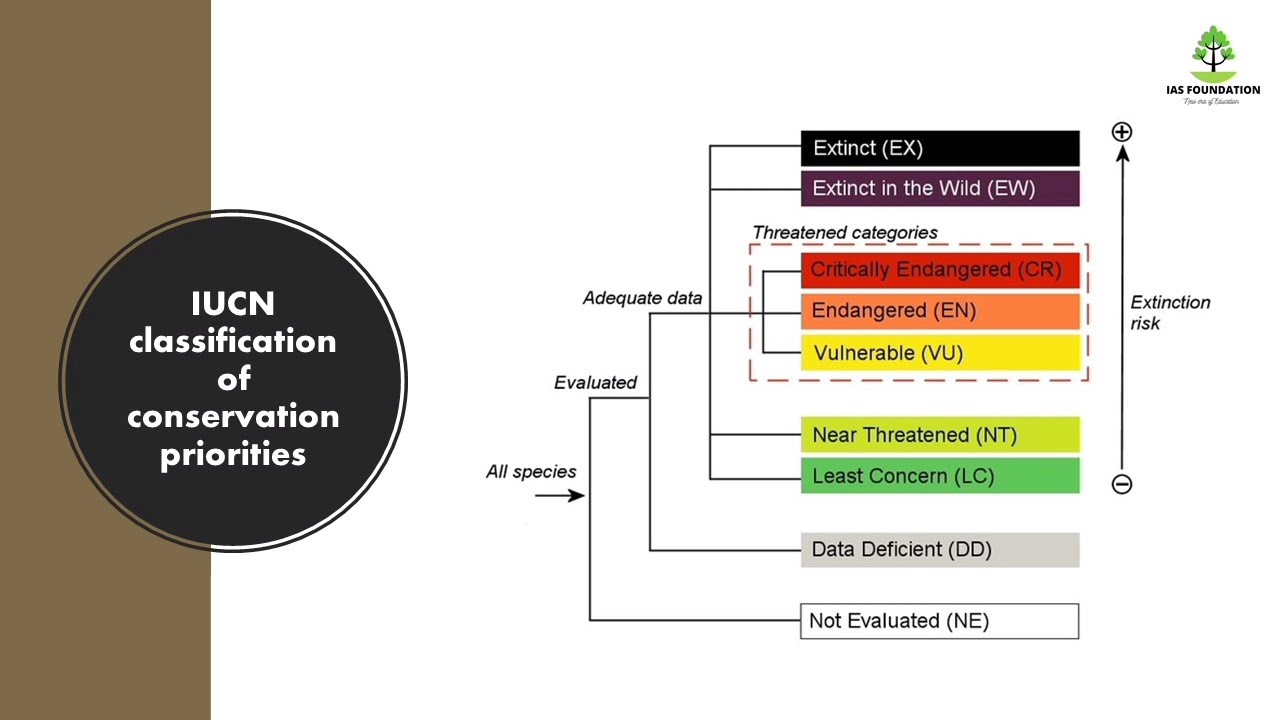 RED DATA BOOK TAMIL IUCN RED DATA BOOK UPSC With Previous Year red-data-book-tamil-iucn-red-data-book-upsc-with-previous-year