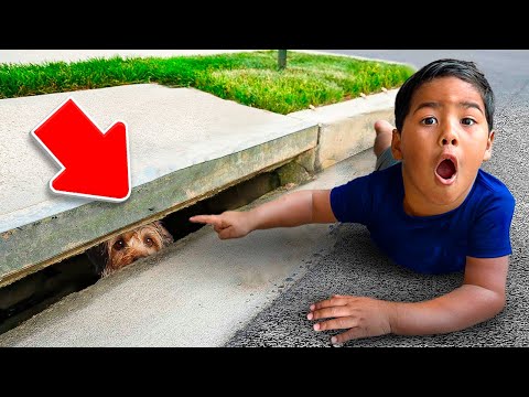 Our Dog Teddy FELL Into The SEWER!