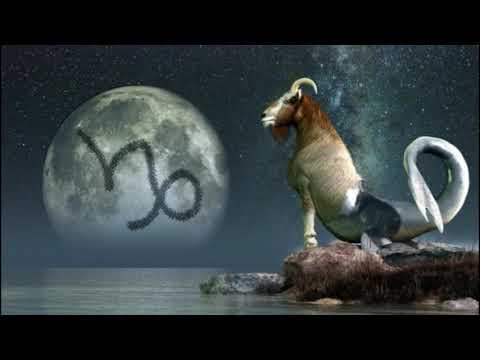 თხის რქა - მიწის ნიშნის მესამე წარმომადგენელი (ზოდიაქო) - txis rqa