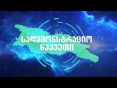 სადემონსტრაციო ნაკვეთი,ნუშის ბაღი,სოფელი ფიროსმანი,12,09,2019