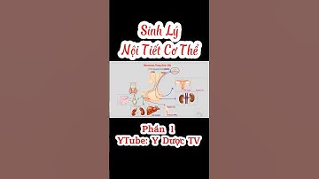 Sinh lý nội tiết | các tuyến nội tiết cơ thể | Y Dược TV