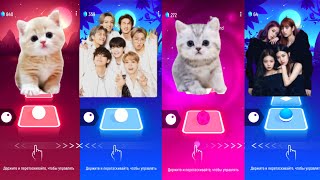 Cute Cats Dance BTS Dynamite BTS Butter Cute Cats Blackpink How You like That Blackpink Tiles Hop