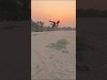 new back flip 🙃 #stunt #backflip #views #video #hardwork #flip #motivational #stunt #stunt #flip