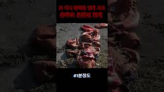 1994년 또 반복된 인재... 충주호