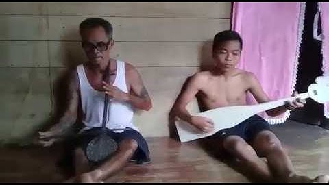 Kecapi rabab khas dayak kalteng.