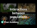 Ecological Communities and Species Interactions in Ecosystems