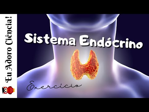 Resolução de exercício: sistema endócrino | ENEM e Vestibulares