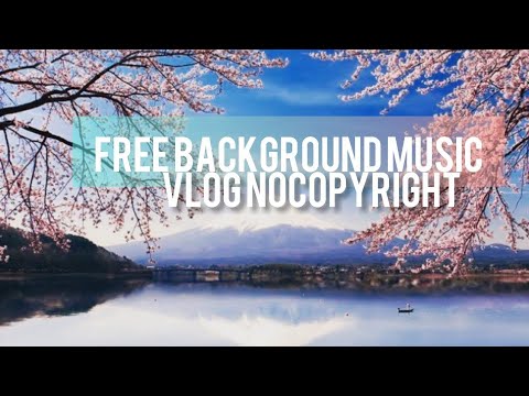 Free Background Music - LiQWYD (The Way) #beats#vlog#adventure | Vlog ...