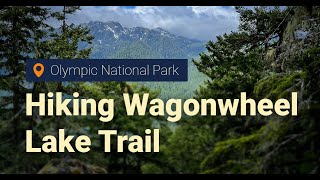 Hiking Wagonwheel Lake Trail - Hoodsport, WA - Olympic National Park - Washington State [4K]