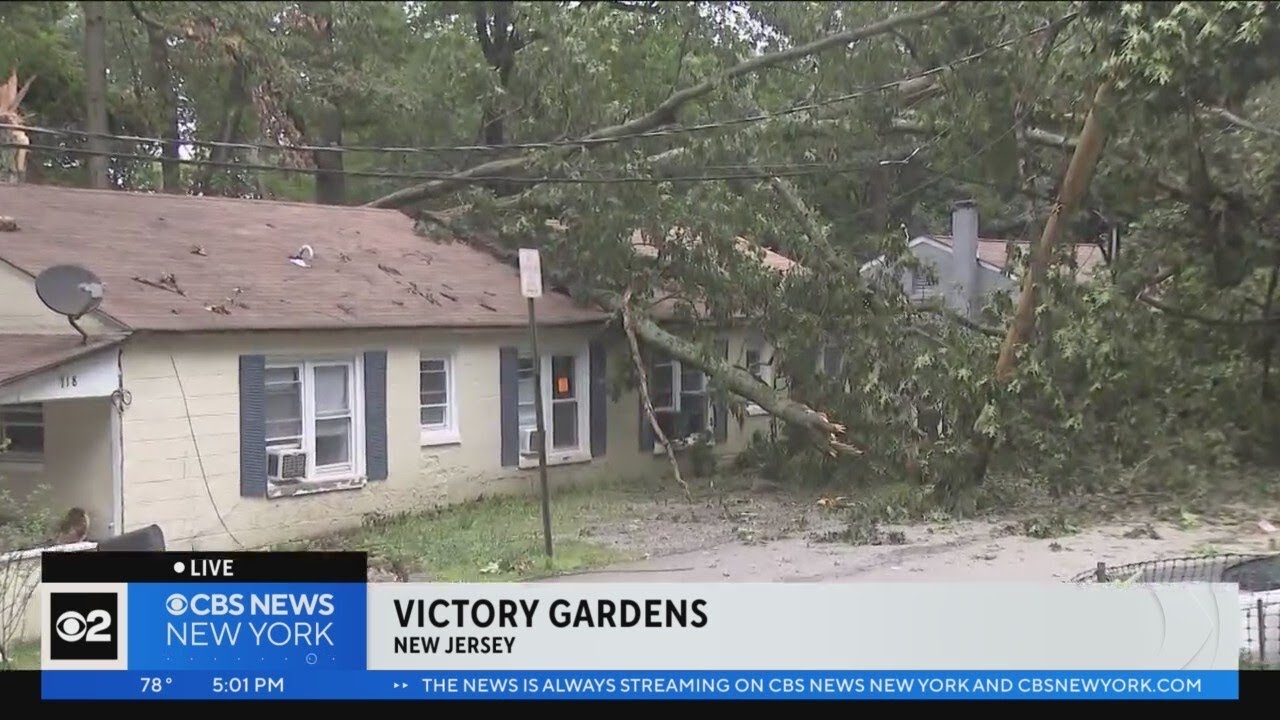 Victory Gardens New Jersey Fasci Garden