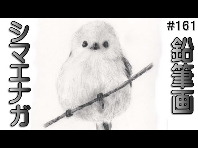 鉛筆と消しゴムでシマエナガ【鉛筆画】イラスト 絵画 pencil