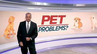 Pet Problems? Fighting The Fat