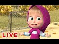 🔴 LIVE! Maşa İle Koca Ayı 🥳☀️ Haydi hayatı kutlayalım ve eğlenelim 🤩🌷 Masha and the Bear