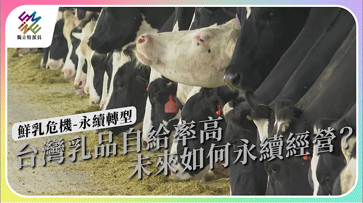 台湾乳品自给率高，未来如何永续经营？｜鲜乳危机-永续转型｜公视 #独立特派员 第809集 20230712 - 天天要闻