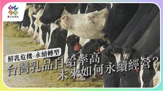 台灣乳品自給率高未來如何永續經營鮮乳危機永續轉型公視 #獨立特派員 第809集 20230712