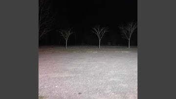 Interaction to Nowhere II