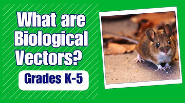 Biological Vectors and Infectious Disease - More Real World Science on Harmony Square