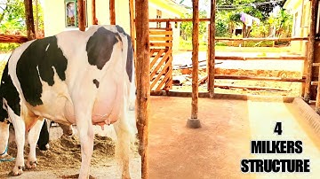How to fit a 4 milkers structure on a small piece of land | 2023