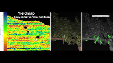 2014 automated visual yield mapping