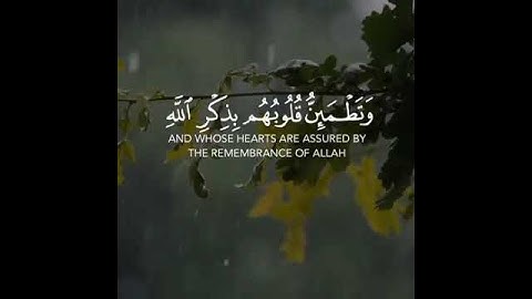 الذين امنوا وتطمئن قلوبهم بذكر الله/حالات واتس اب قران كريم ارح سمعك