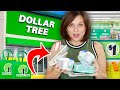 Dollar Tree Products are NOT Always Cheaply Made!