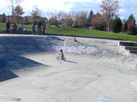 My 20 month old son on his run bike at the Ben Lee Sk-8 park in Rutland bc