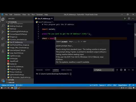 How to get the IP address using Python Script