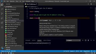 How to get the IP address using Python Script
