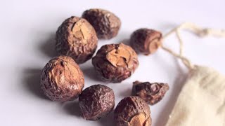 How to use Soap Nuts  Natural Laundry Care, Cleaner, Shampoo, Shaving Cream