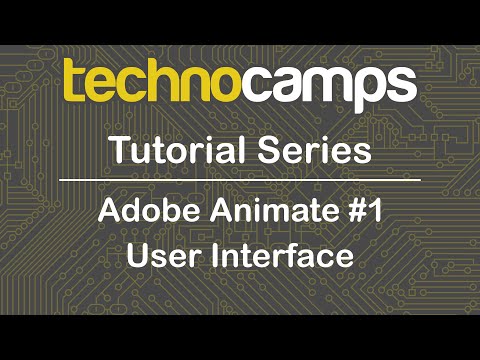Adobe Animate #1 - User Interface - Edge Gain