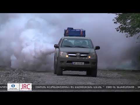 აზიური ფაროსანას წინააღმდეგ შეწამვლითი სამუშაოები აქტიურ ფაზაში შევიდა