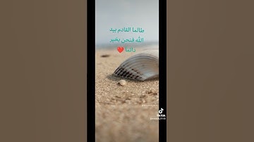 🌹فدعا ربه اني مغلوب فانتصر🌹 #قناه نور القرآن الكريم #المصحف #اكسبلور #لايك