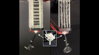 Self-Sensing Feedback Control of an Electrohydraulic Robotic Shoulder