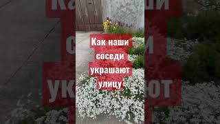 КРАСИВО ПЕРЕД ДОМОМ, это не про деньги- это о человеке #дача #клумба