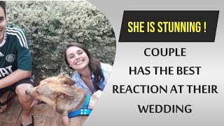 Couple Has The Best Reaction After Stray Dog Crashes Their Wedding