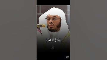 قران كريم بصوت الشيخ ياسر الدوسري #اكسبلور #كامري #duet #راحة_نفسية #حالات_واتس #لايك صلي على النبي