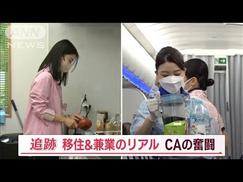 “移住＆兼業”現役CAの奮闘　「製茶店」「銀行員」に…地方では“別の顔”【Jの追跡】(2023年1月21日)